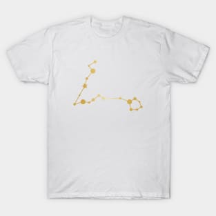 Pisces Zodiac Constellation in Gold T-Shirt